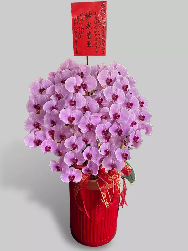 神光普照
