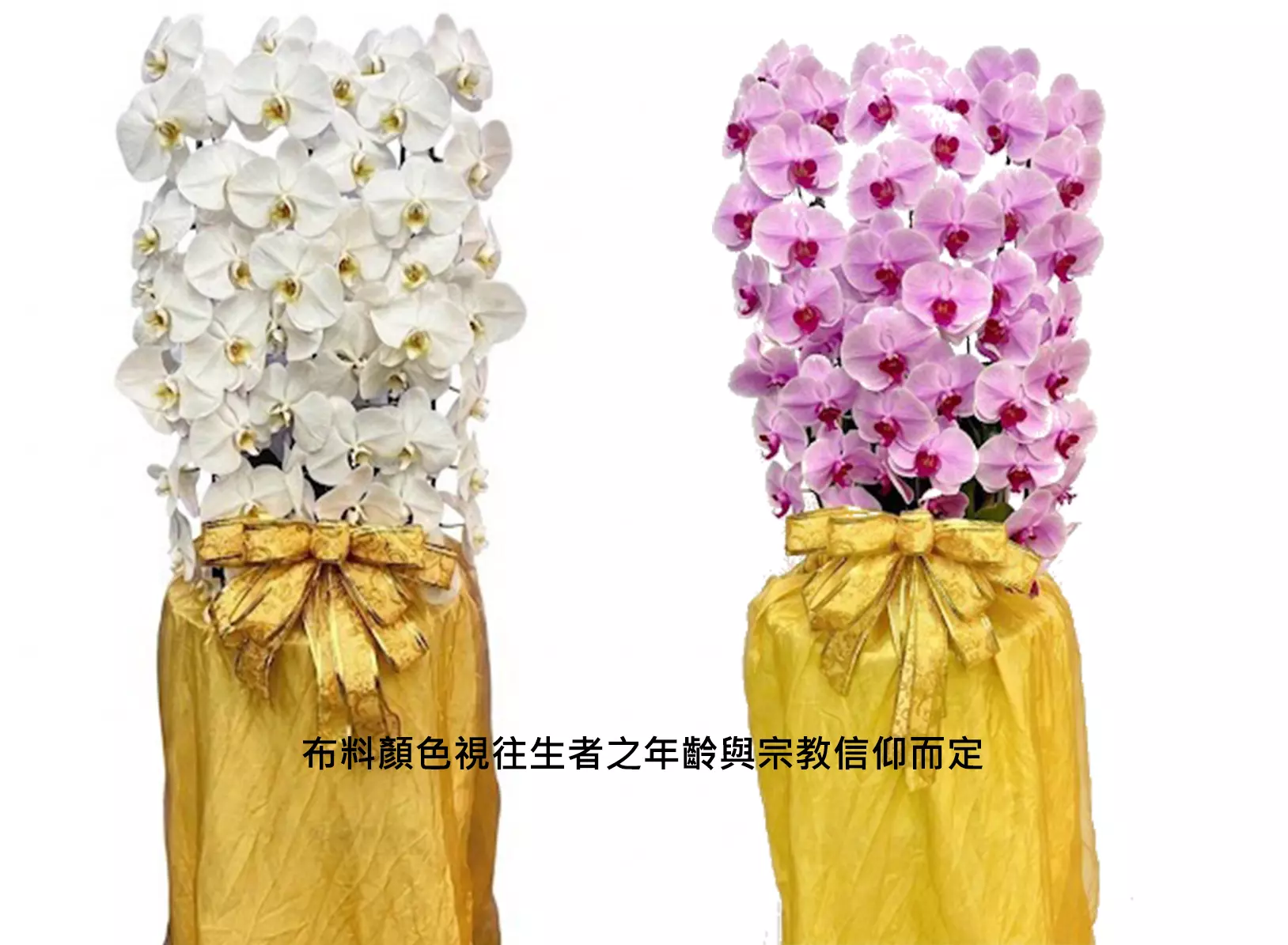 瀑布型蘭花